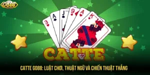 Catte GO88